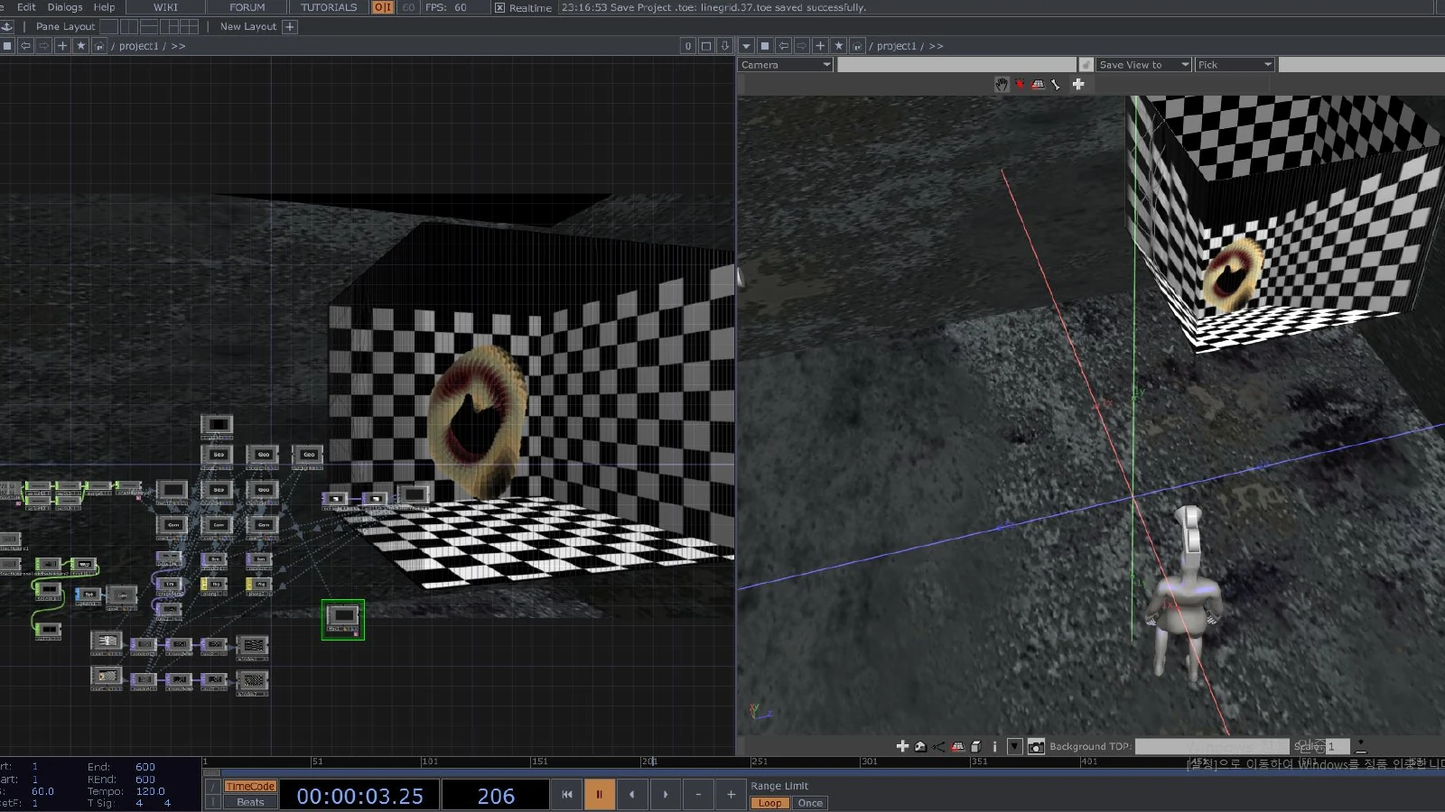 TouchDesigner split view with the resolved anamorphic form beside its external 3D scene and virtual viewpoint